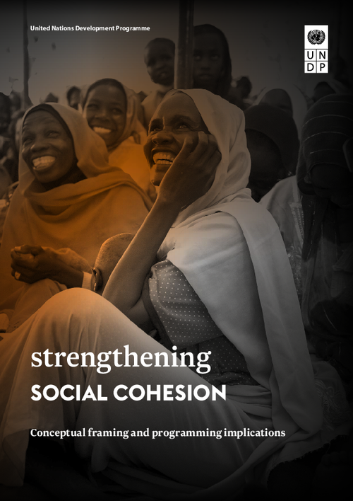 graph_publication_Strengthening social cohesion: Conceptual framing and programming implications